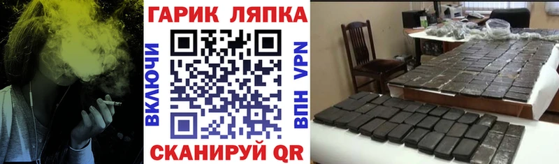 ГАШ Premium  Шебекино 
