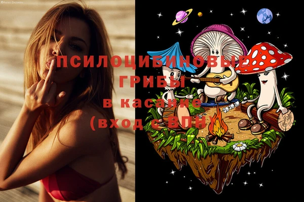 прущая мука Остров