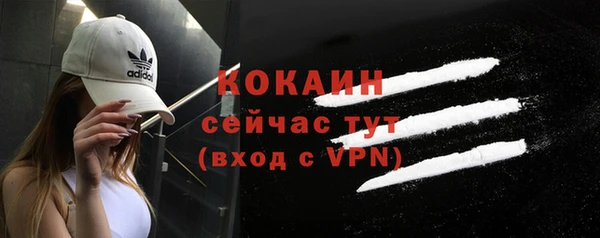 дурь Пестово