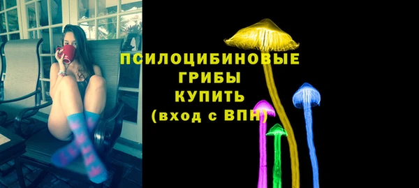 дмт Переславль-Залесский