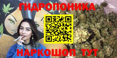 спиды Ставрополь