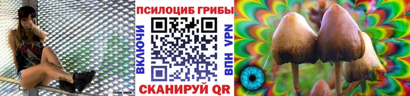 как найти закладки  MEGA tor  сайты даркнета как зайти  Шебекино  Галлюциногенные грибы мицелий 