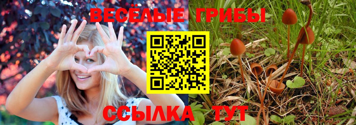 Шебекино  Псилоцибиновые грибы GOLDEN TEACHER  Вход с VPN 